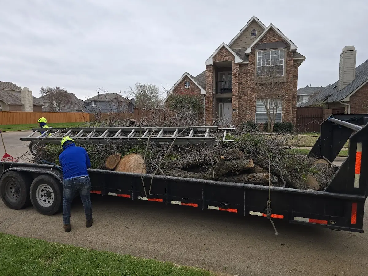 Expert Lot Clearing with proper safety equipment in Wiergate